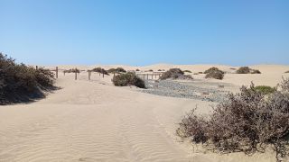 GC-Playa del Ingles 2026-093.jpg